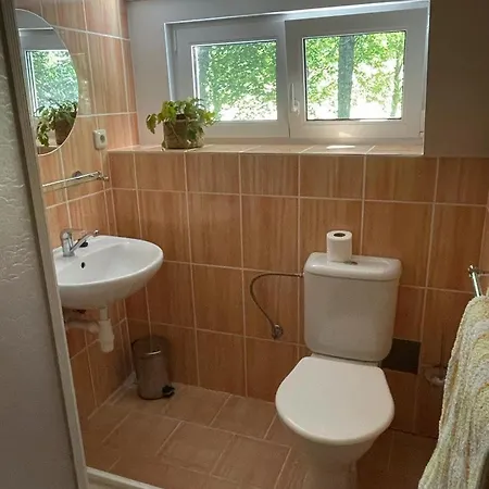 Busil V Pekelskem Udoli Hartmanice (Pilsen)