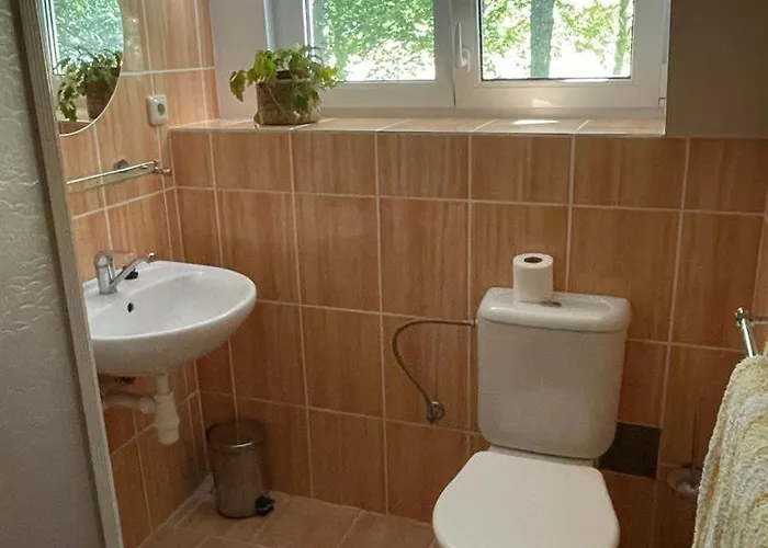 Busil V Pekelském údolí Hartmanice (Pilsen)